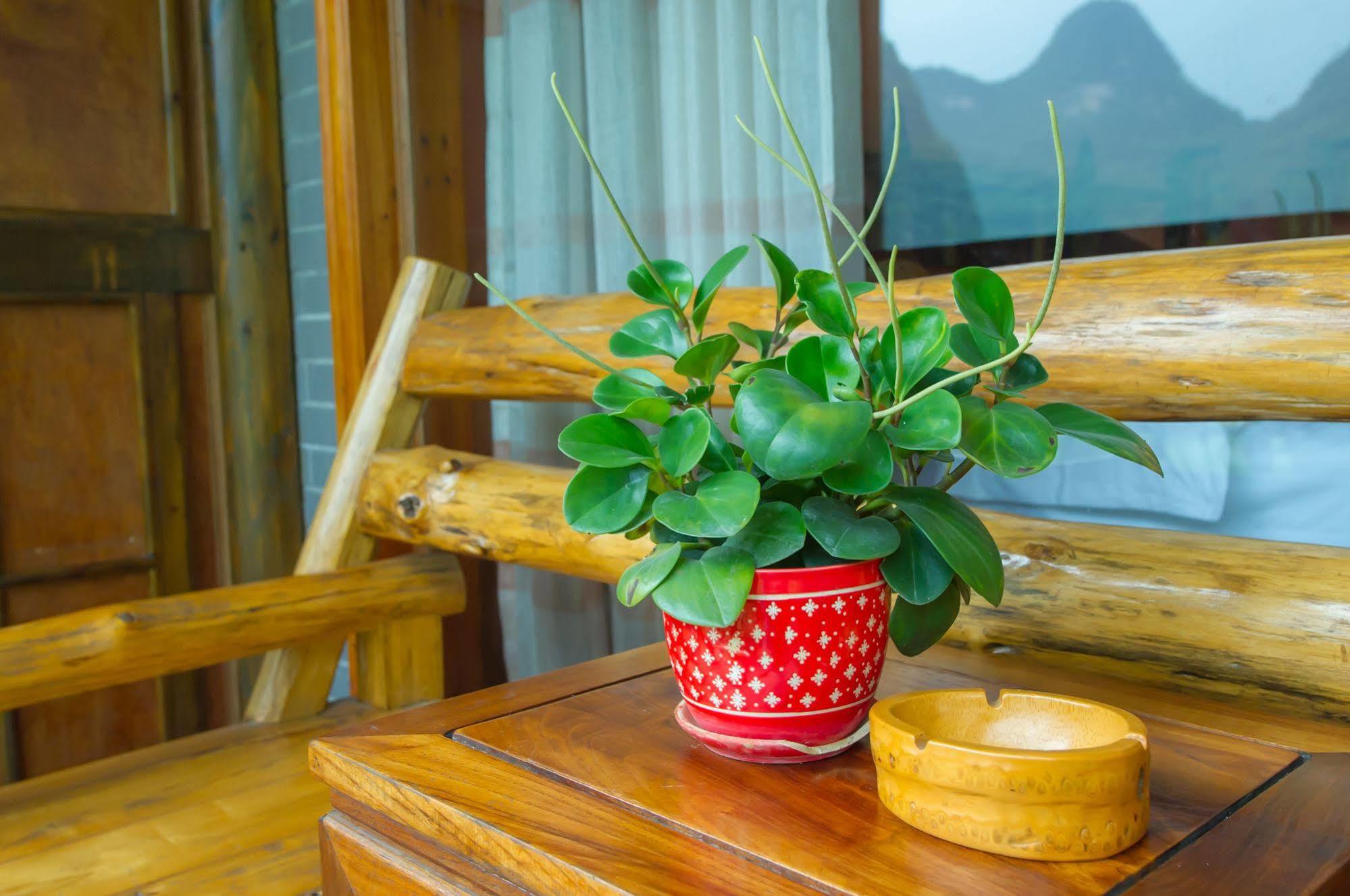 Отель Yangshuo Scenic Mountain Retreat Экстерьер фото